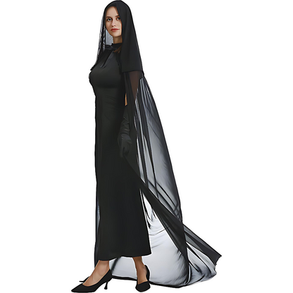 Enchantress of the Veil