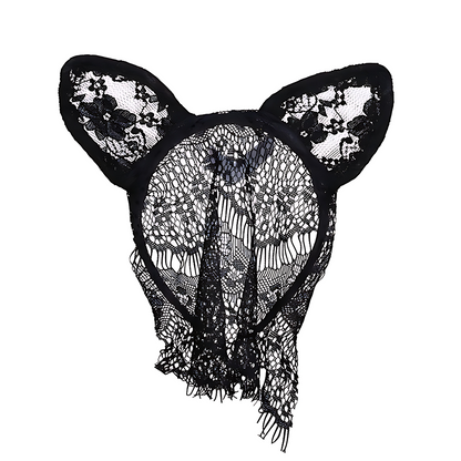 Midnight Lace Cat Veil